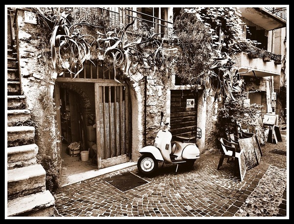 Roller in Limone