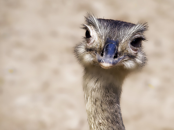 Na du... heute im Wormser Tierpark