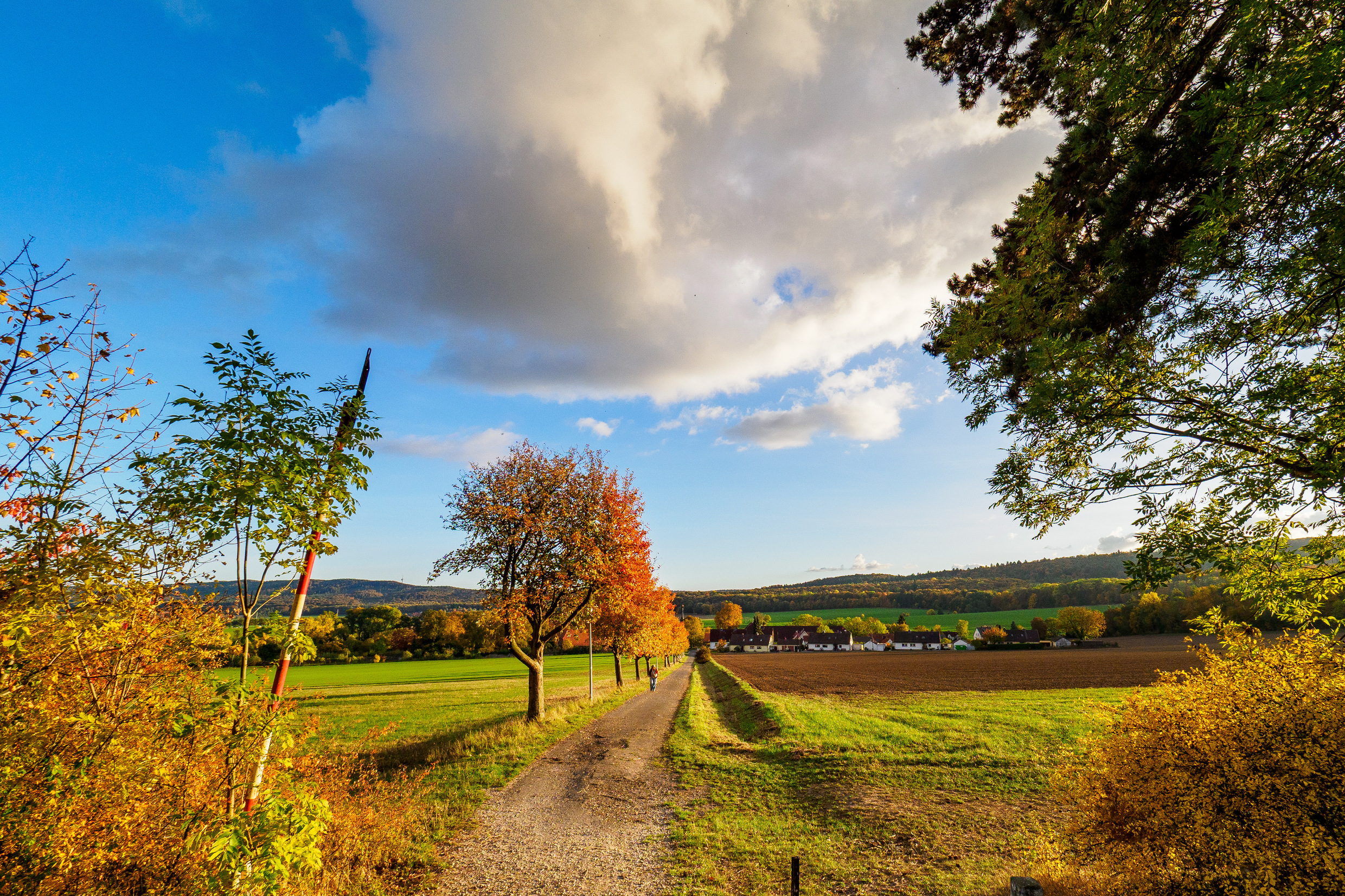 Herbstliche Farbenpracht... Herbstliche Farbenpracht...