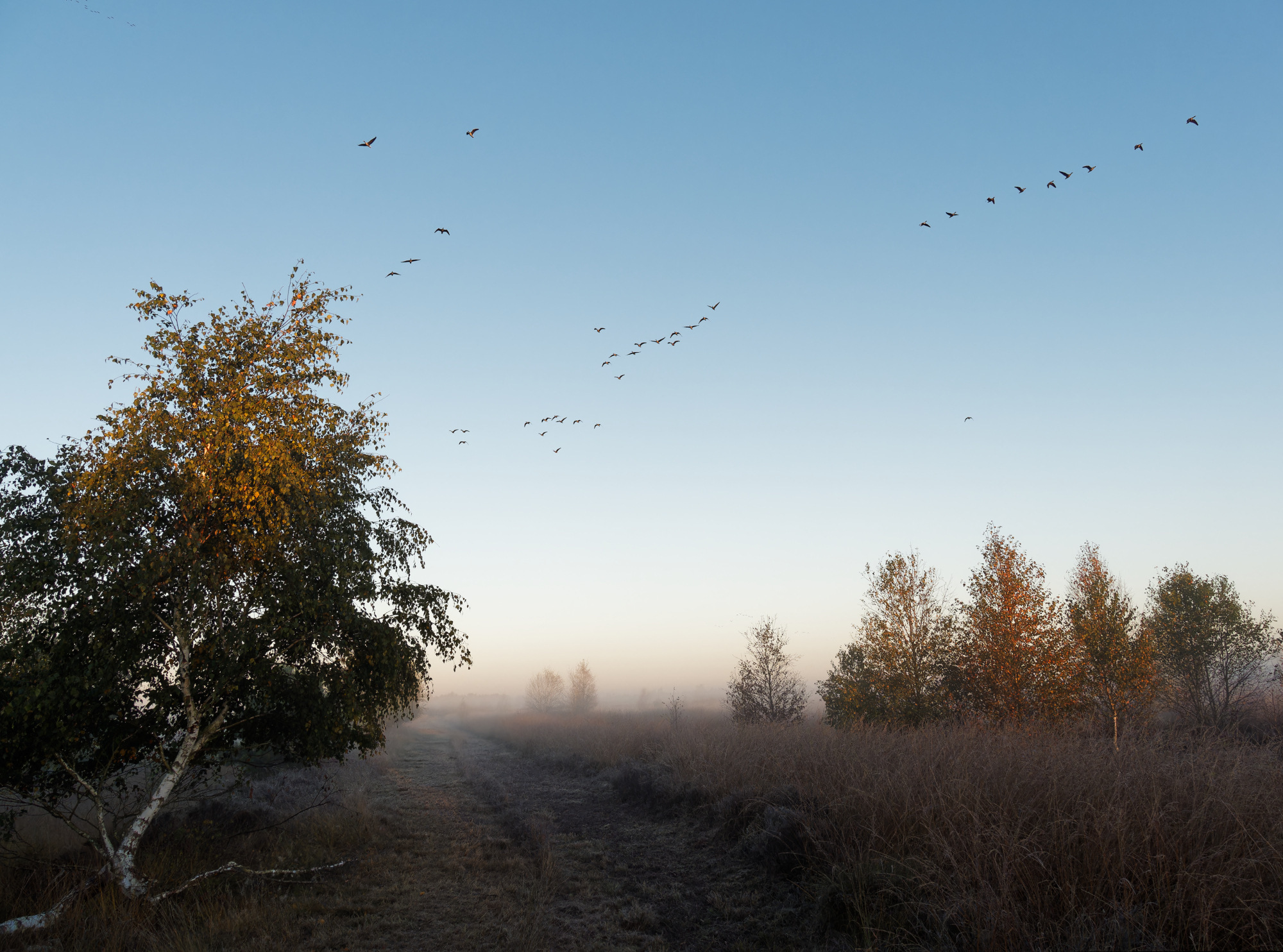 Herbstliche... Herbstliche...