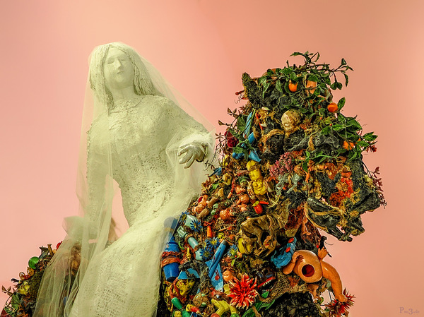 La Mariée à Cheval