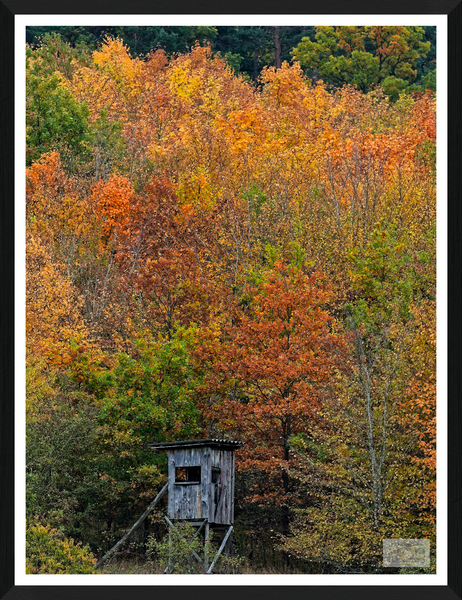 PA120100_Herbst in der Rhön_2025_DxO.jpg