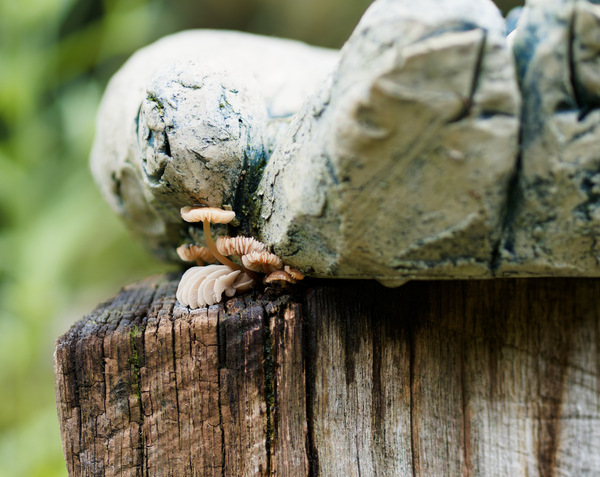 Es gibt immer eine Chance..