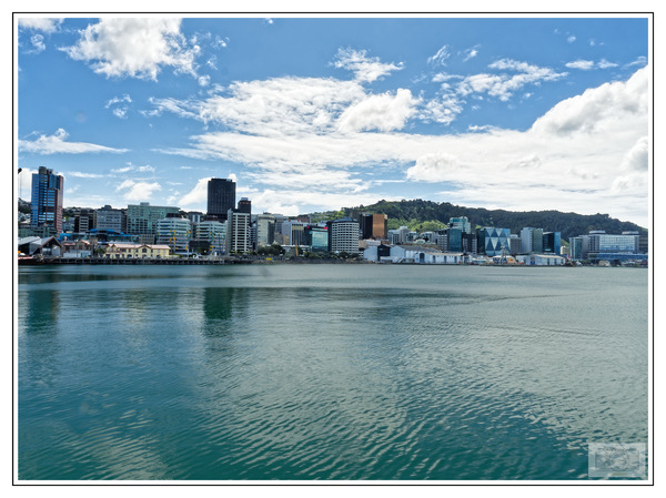 PA300245_Skyline von Wellington_NZ_DxO.jpg
