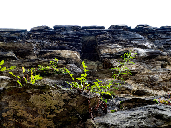 The Romans (green) wall boppard.jpg