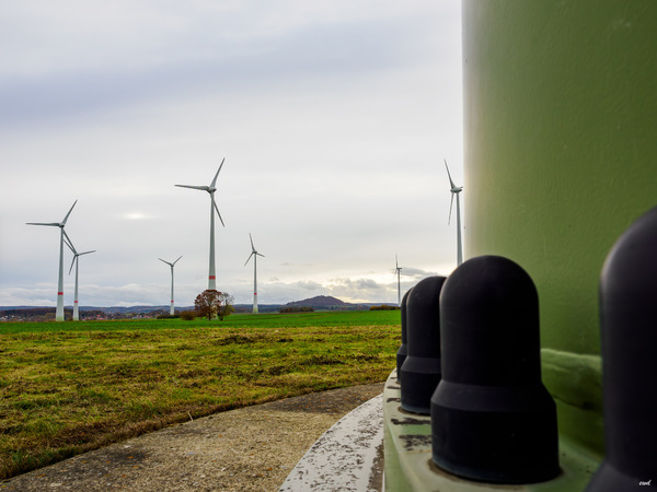 WT44/45  Sonntagsausflug in den Park