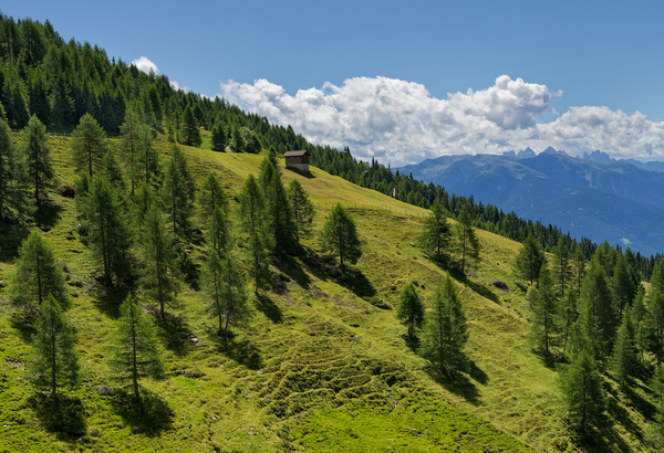im Wandergebiet Gitschberg/Jochtal.