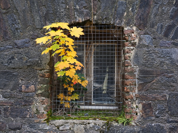hinter Gittern aber dennoch frei