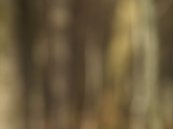 "WT-25KW46/47: Ohne Namen