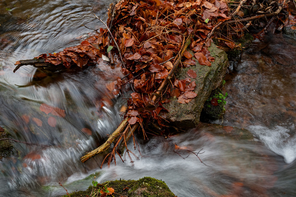 herbstliche Sprudelei