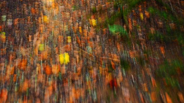 WT-25W46/47 abstrakter Pointillismus...