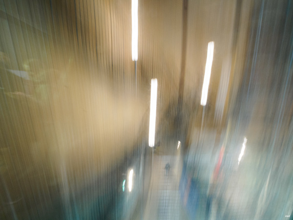 WT46/47  Mitbringsel