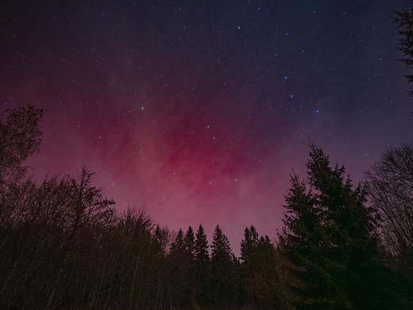 Leider zu spät dran...