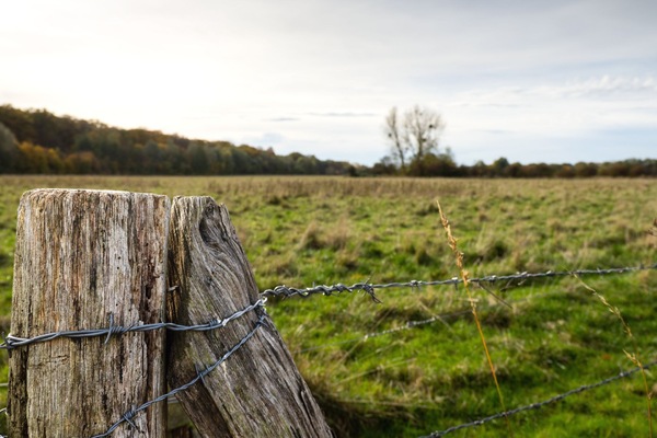 WT-44/45: Zaunpfahl ...