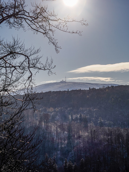 Märchenwald mit Brockenblick