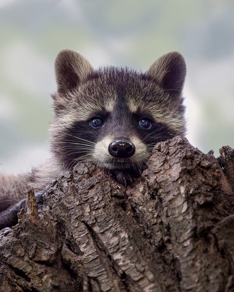 Und wovon träumst DU??