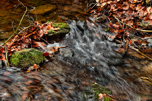 Herbstliche Sprudelei