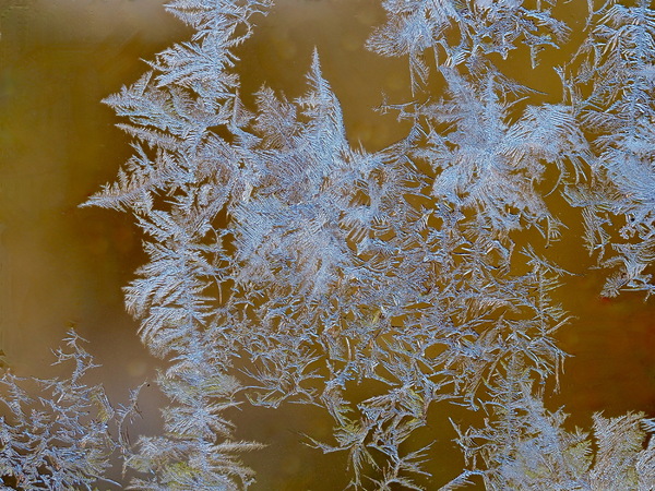 WT 26/01 In Farbe...