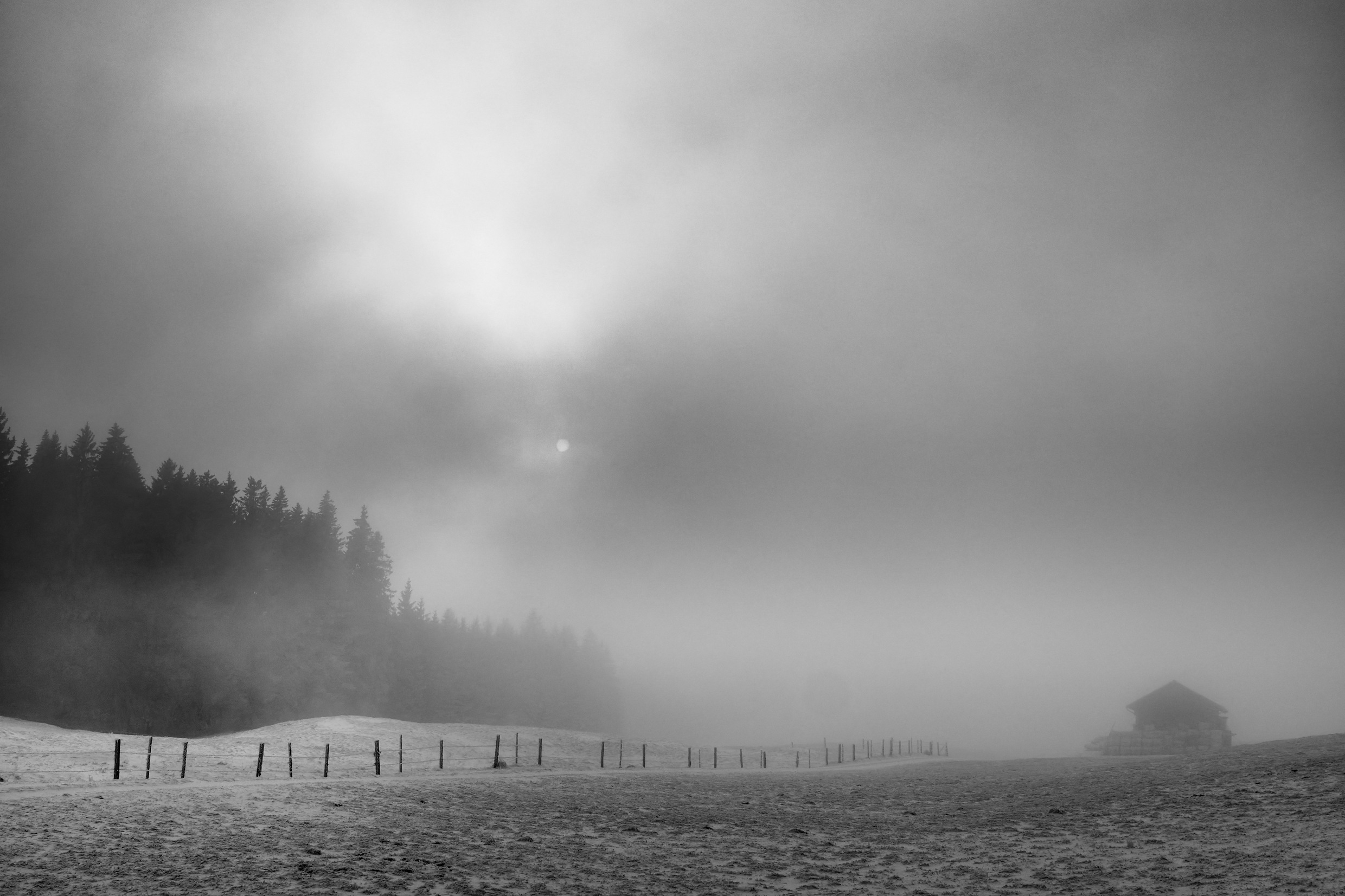 Alles in Black & White