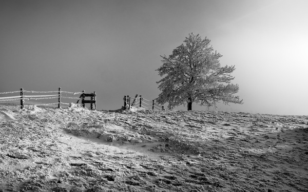 Wanderung um Wildsteig